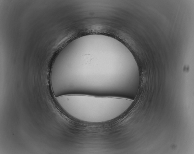X0000096970450200802151312