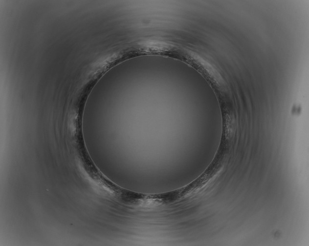 X0000096970451200802151312