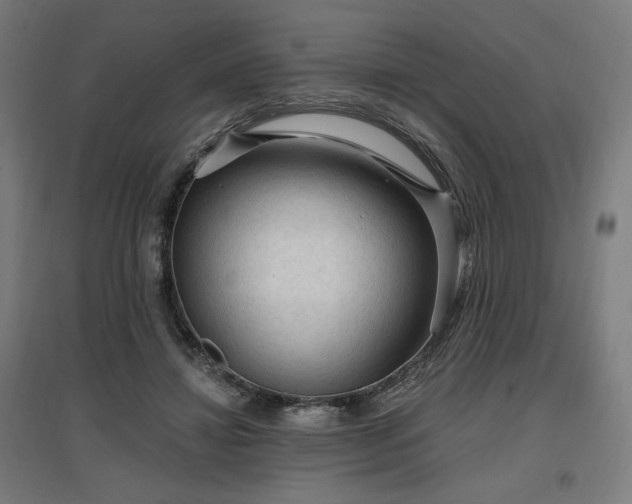 X0000096970452200802151312