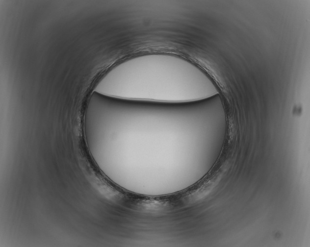 X0000096970453200802151312