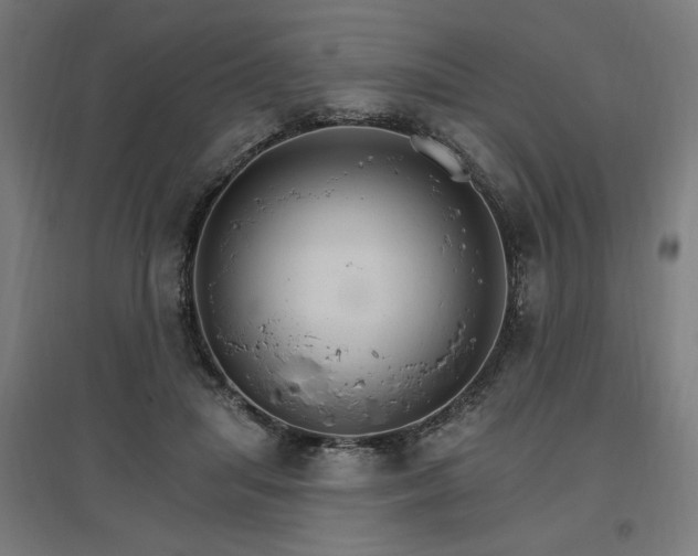 X0000096970455200802151312