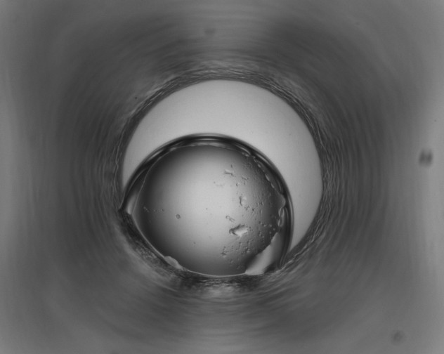 X0000096970456200802151312