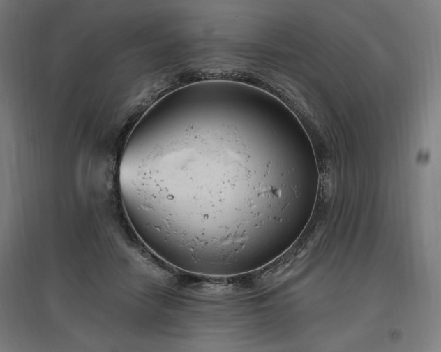 X0000096970458200802151312