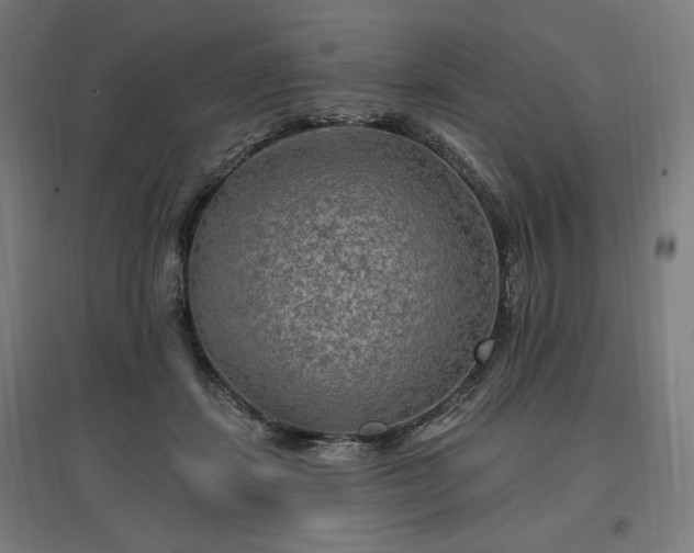X0000096970459200802151312