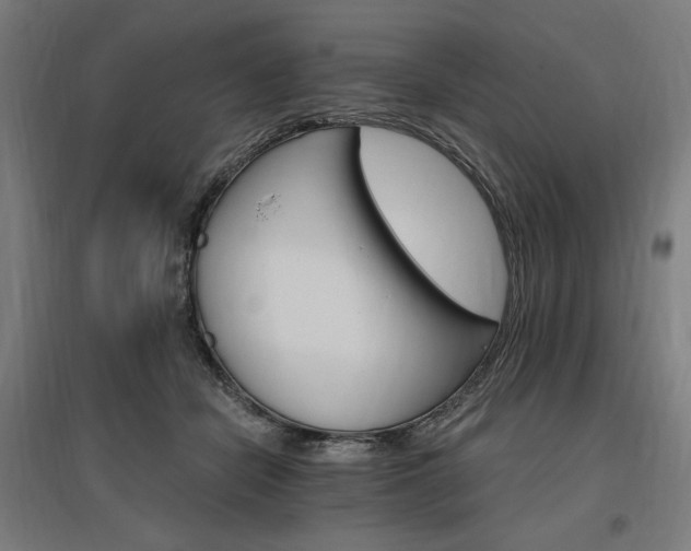 X0000096970462200802151312