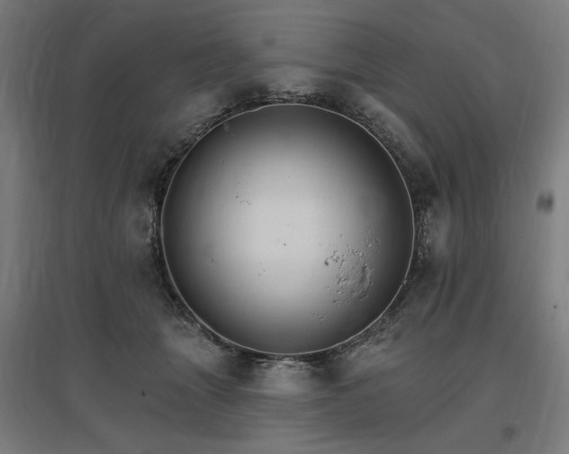X0000096970463200802151312