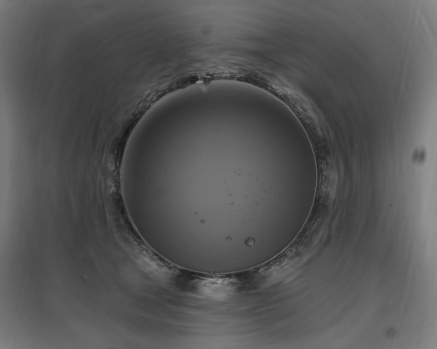 X0000096970465200802151312