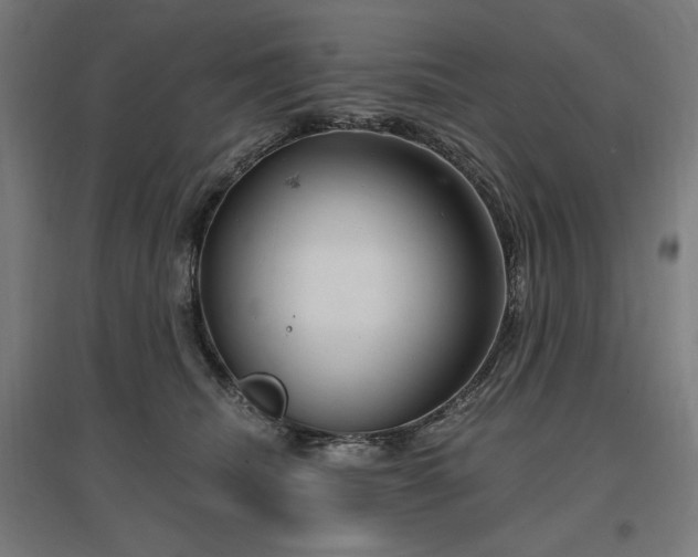 X0000096970468200802151312