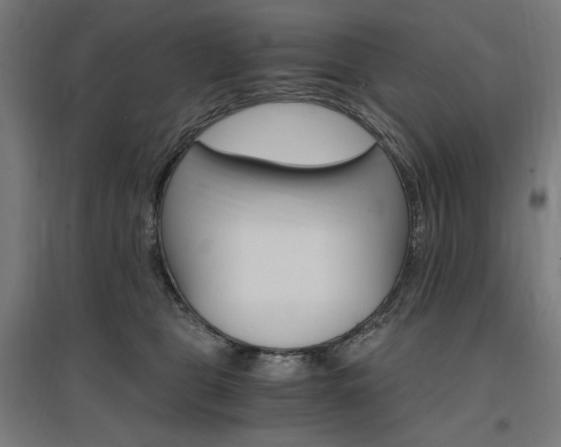 X0000096970469200802151312