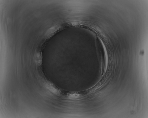 X0000096970471200802151312