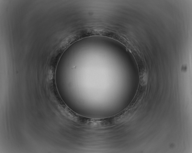 X0000096970472200802151312