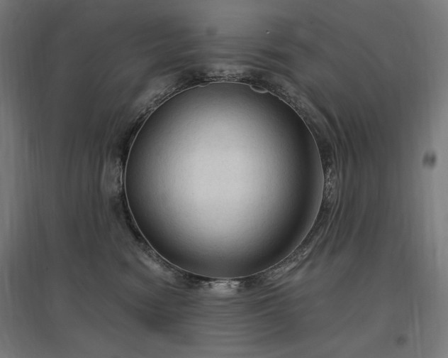X0000096970474200802151312
