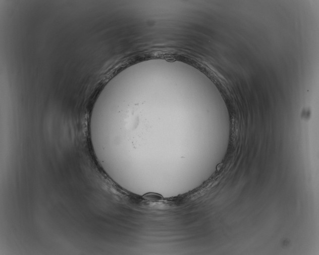 X0000096970475200802151312
