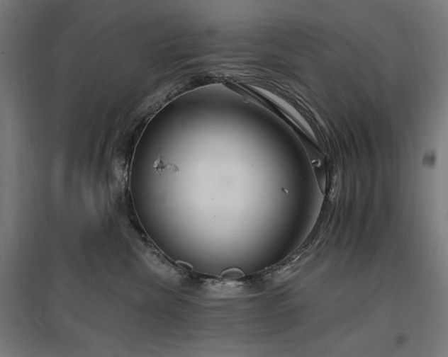 X0000096970476200802151312