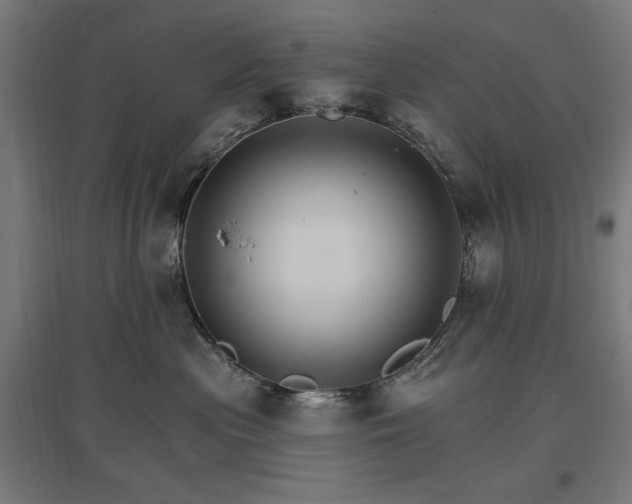 X0000096970477200802151312
