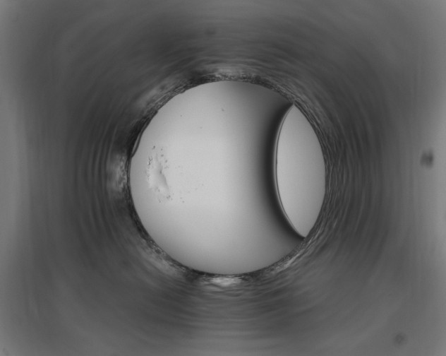 X0000096970478200802151312