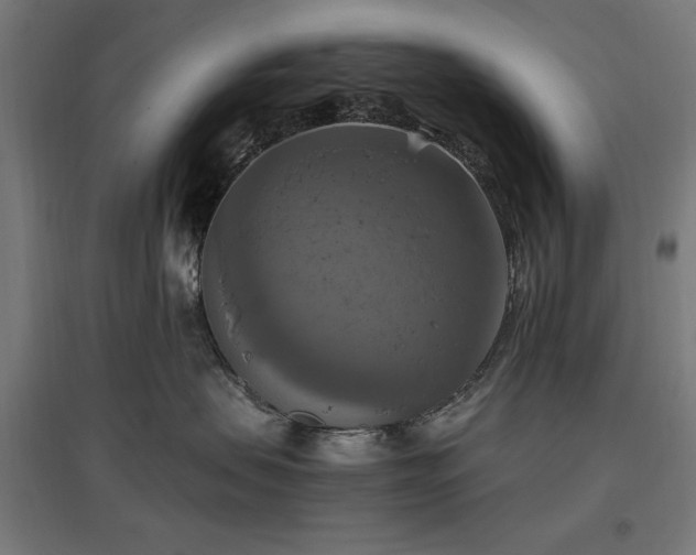 X0000096970479200802151312