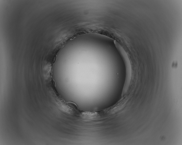 X0000096970480200802151312