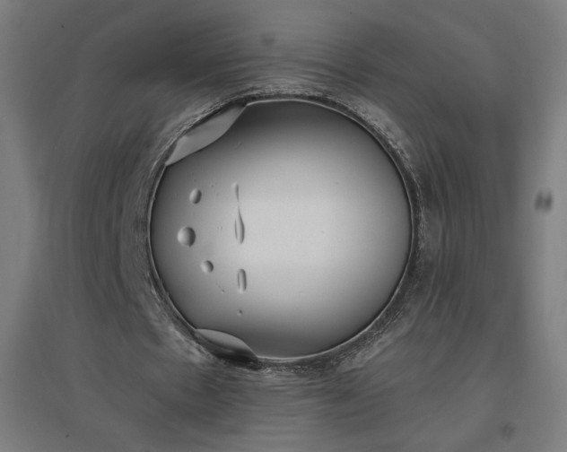 X0000096970481200802151312