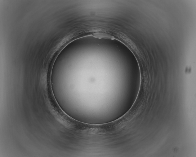 X0000096970482200802151312