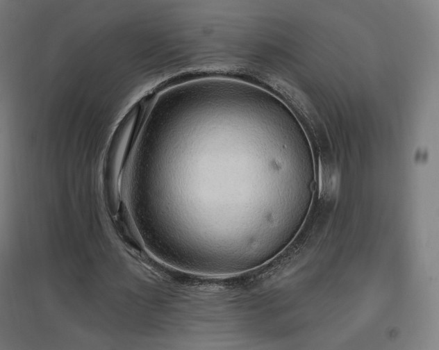 X0000096970483200802151312