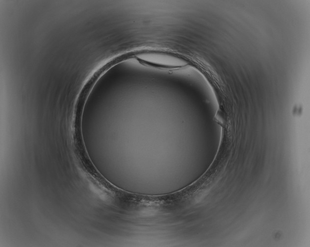 X0000096970484200802151312
