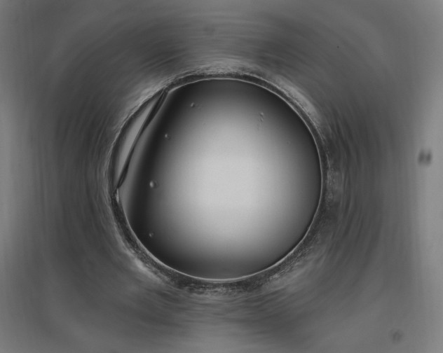 X0000096970485200802151312