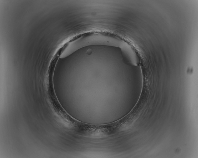 X0000096970488200802151311