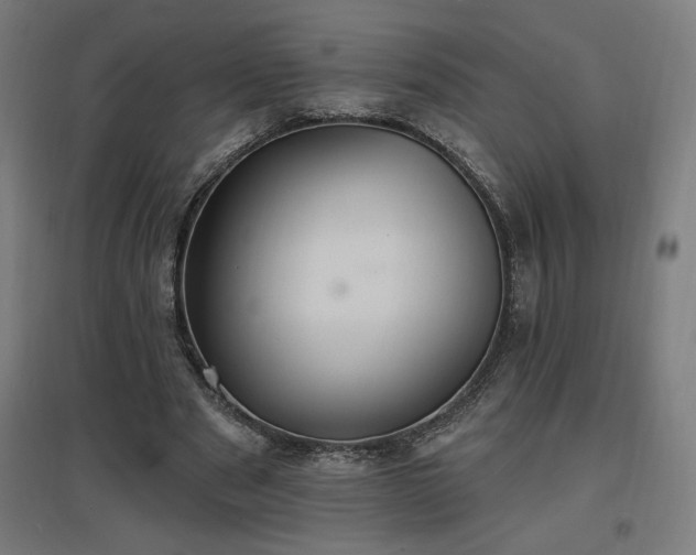 X0000096970489200802151311