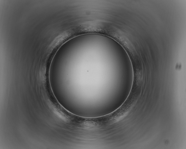 X0000096970490200802151311