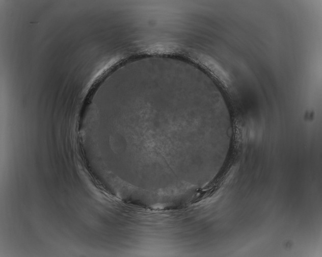 X0000096970491200802151311