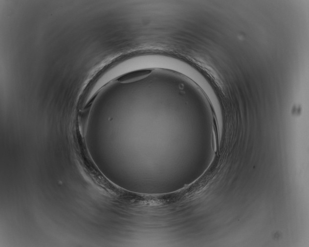 X0000096970492200802151311