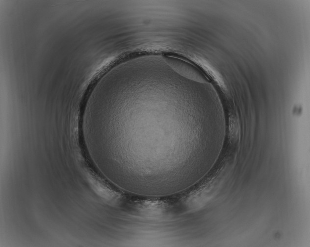 X0000096970493200802151311