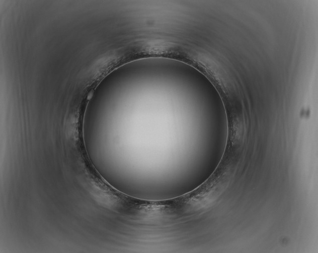 X0000096970497200802151311