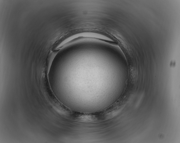 X0000096970499200802151311