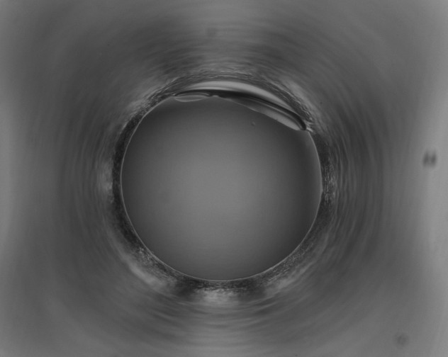 X0000096970500200802151311