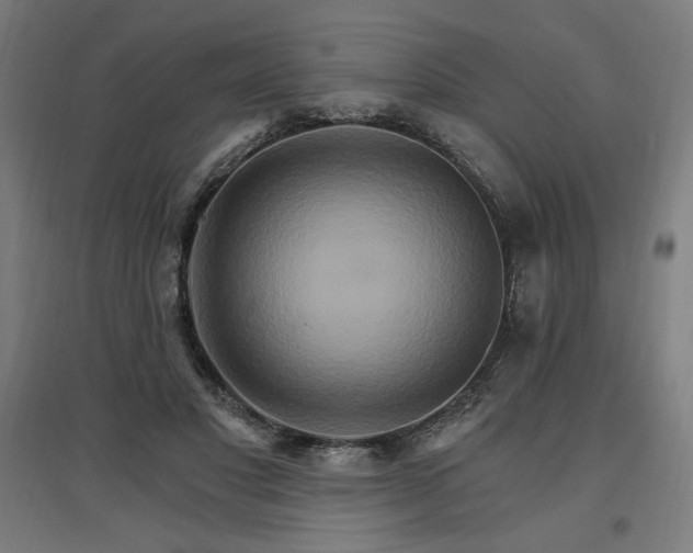 X0000096970501200802151311