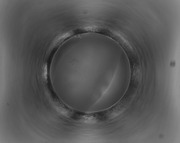 X0000096970502200802151311