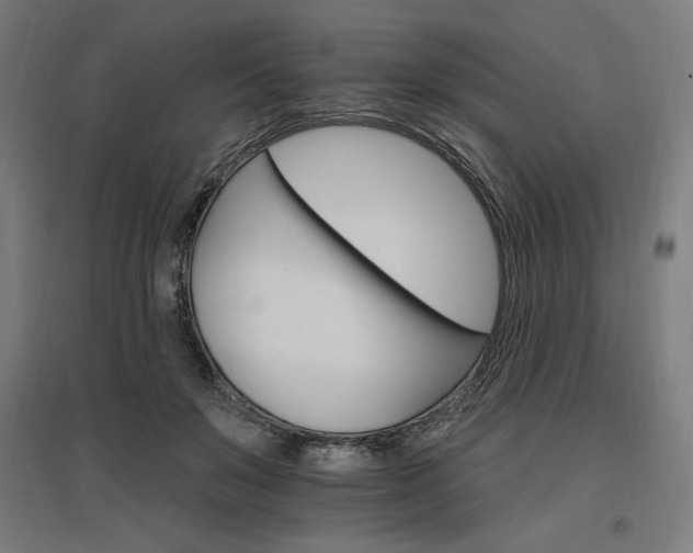 X0000096970503200802151311