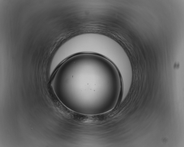 X0000096970504200802151311