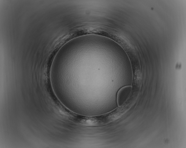 X0000096970506200802151311