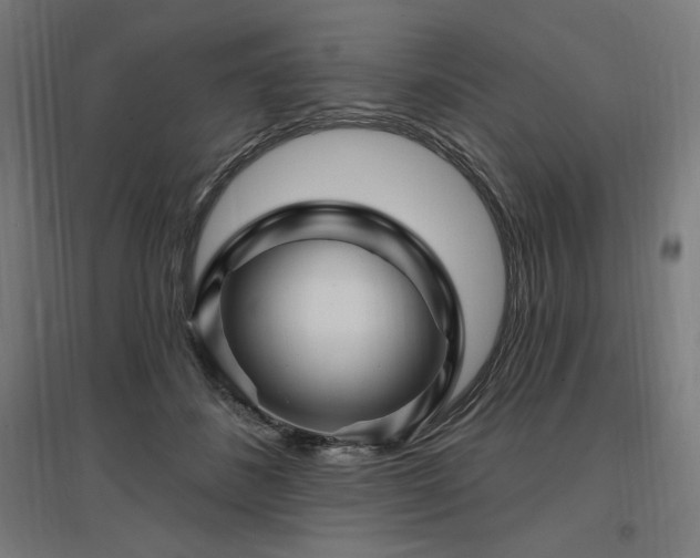 X0000096970508200802151311