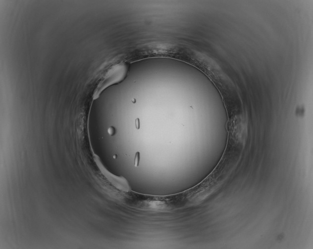 X0000096970509200802151311