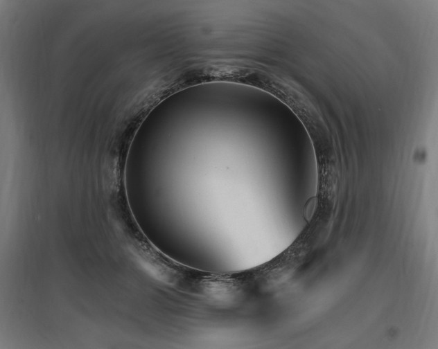X0000096970510200802151311