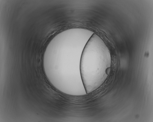 X0000096970511200802151311