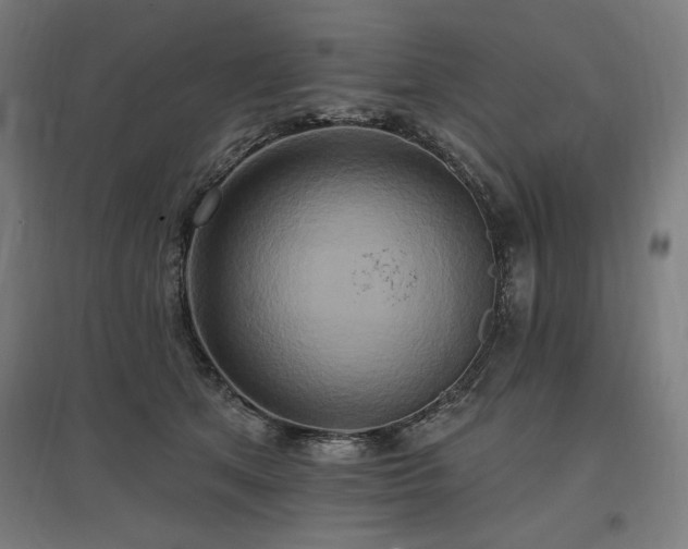 X0000096970513200802151311