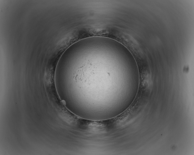 X0000096970515200802151311