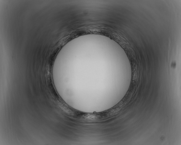 X0000096970518200802151311