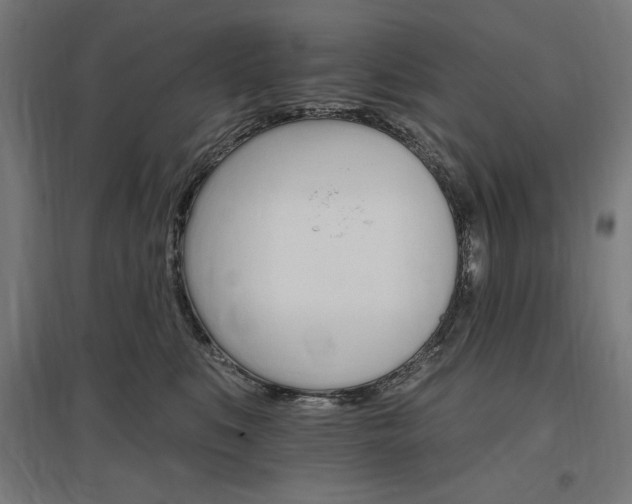 X0000096970519200802151311