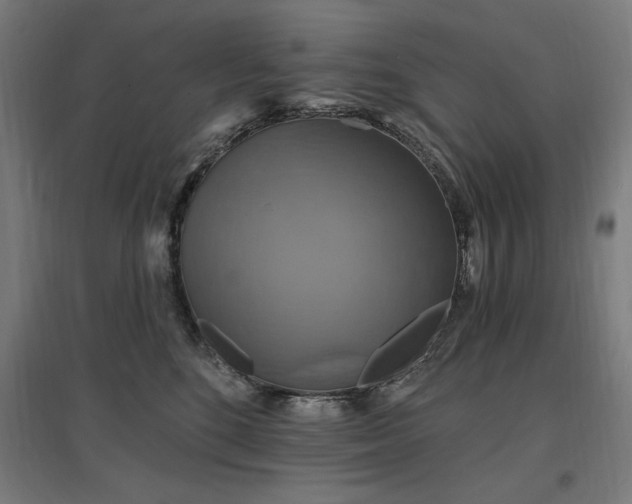 X0000096970520200802151311